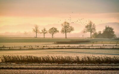 Het rubriceren/classificeren van weilanden aangekocht t.b.v. mogelijke nieuwbouw in de toekomst in de jaarrekening